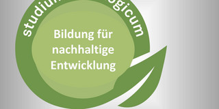Poster zur Ringvorlesung Bildung für nachhaltige Entwicklung