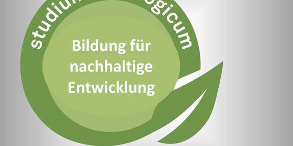 Poster zur Ringvorlesung Bildung für nachhaltige Entwicklung